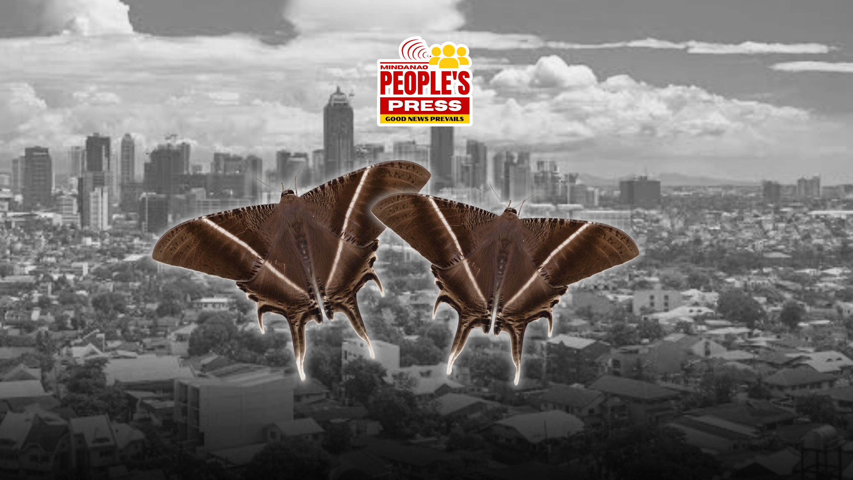 Tropical Swallowtail Moths in the City: A Silent Signal from Nature